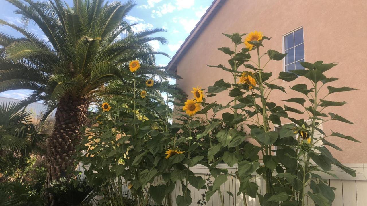 Balloons And Wine Murrieta Exterior photo